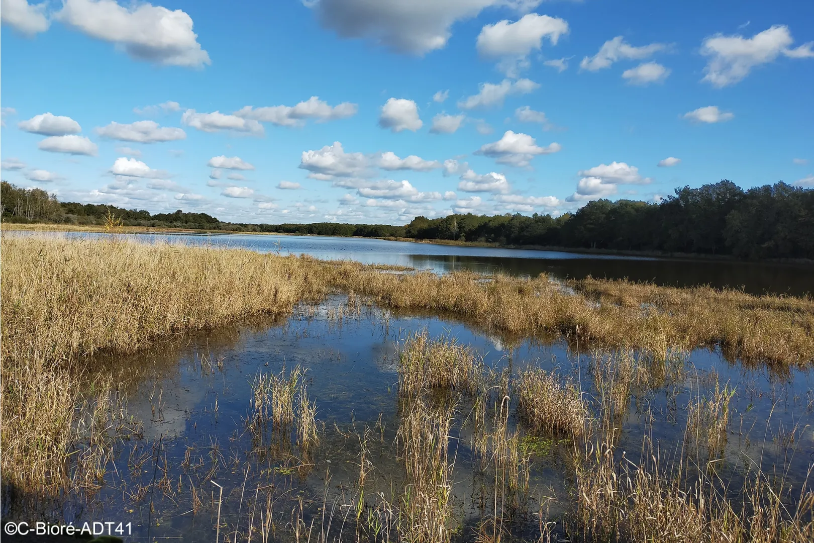 ROUTE N°13 - SOLOGNE